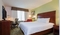 Hilton Garden Inn JFK Airport - The standard room with a king bed includes a Keurig coffee maker, refrigerator, microwave, and TV.