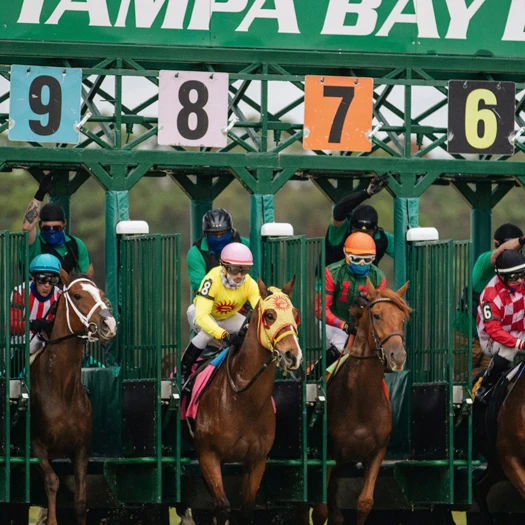 Tampa destination near TPA Airport